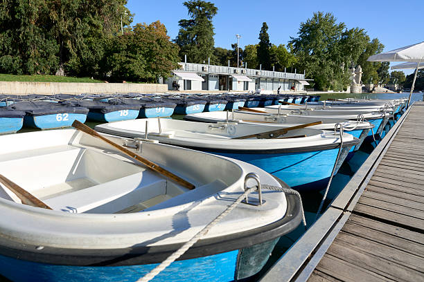 A row of blue and white rowing boats docked at a pier on a sunny day with lush trees in the background.