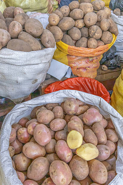 istock Sacks of freshly harvested potatoes 2244662096