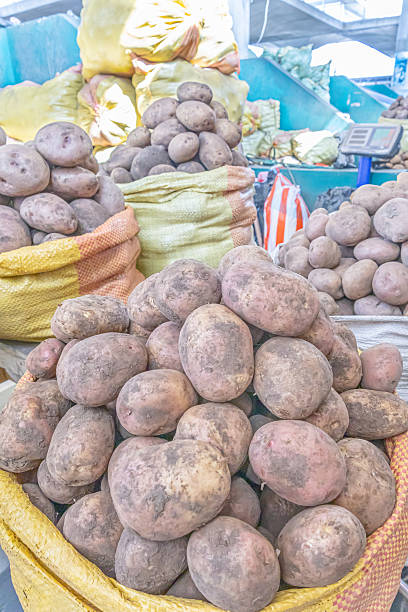 istock Sacks of freshly harvested potatoes 2244662435