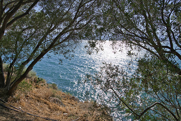 High-angle view of a sailboat navigating the intense deep blue waters of the Mediterranean Sea.