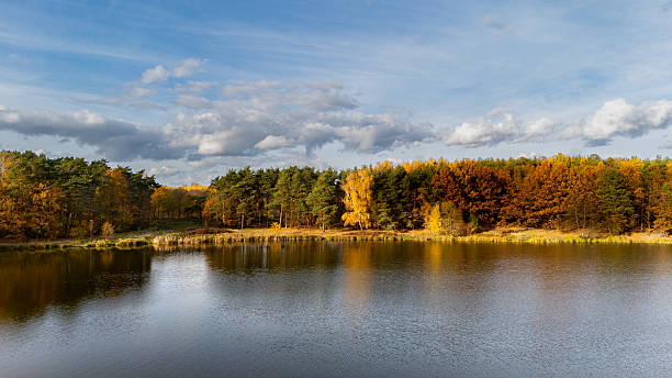 istock Autumn lake with colorful forest and cloudy sky 2244668431