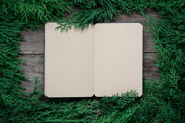 Open notebook with blank craft paper pages framed by green pine branches on wood.