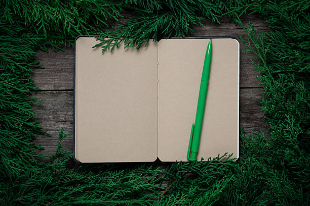 Open blank notebook with a green pen, framed by dense evergreen branches on wood.