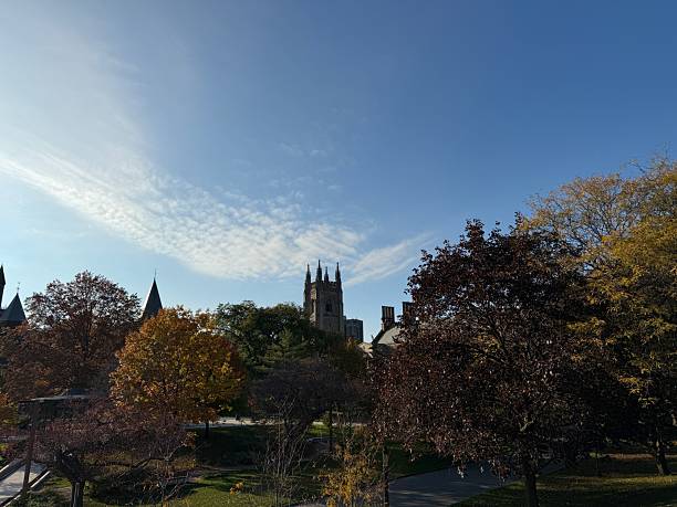istock University of Toronto, St. George Campus 2244672627