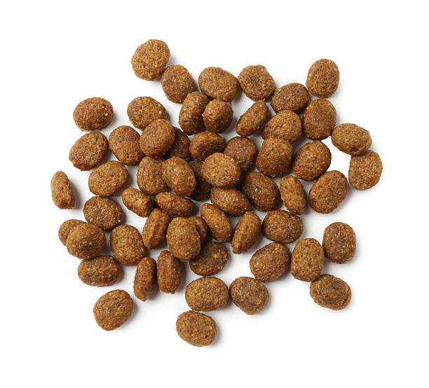 istock Dry pet food granules isolated on white, top view 2244676266