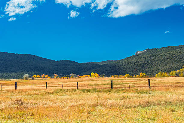 A golden pasture stretches beneath a deep blue sky, ringed by the soft rise of forested hills.The light is clean and low, spreading warmth across the grass in long, gentle bands.A line of fence posts divides the field — not as boundary, but as rhythm — guiding the eye toward the subtle horizon.Autumn trees glow along the far edge, their color both fading and eternal.This photograph captures light as memory — heavy not in brightness, but in meaning.It is the culmination of return: the moment when the familiar world, seen again through changed eyes, feels new.The open field is not empty; it is full of silence, time, and belonging.