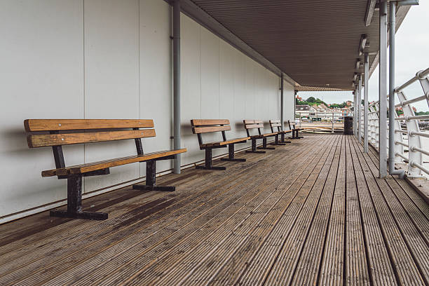 Row of Green metal bench place on concrete floor nearly pathway in outdoor garden.