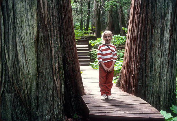 Mount Revelstoke NP - Girl Stands Between Two Large Trees - 1989