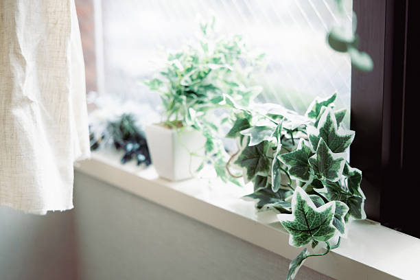 Close up of a table near the window in a summer kitchen part of the home