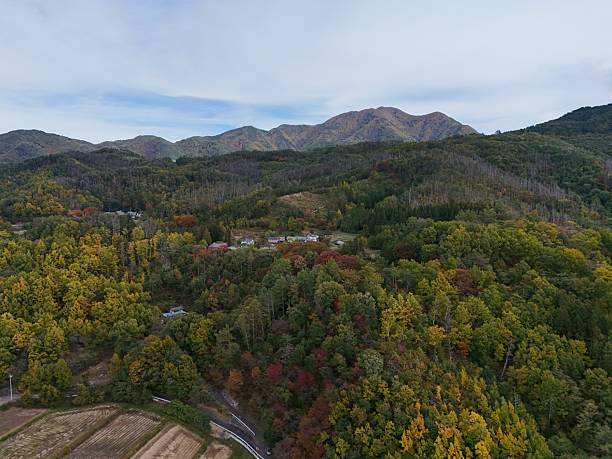 istock A beautiful mountain range with a lush green forest and a few houses 2244685927