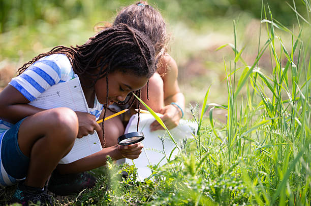 istock Young Black Girl With Magnifying Glass Explores Plants Outdoors For Science Study In Grass Field 2244688600