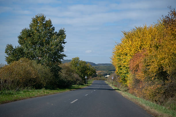 A straight, empty asphalt road stretches into the distance, flanked by trees in full autumn color on one side and green vegetation on the other. The scene is bathed in soft sunlight under a partly cloudy sky, capturing the peaceful rhythm of rural life.