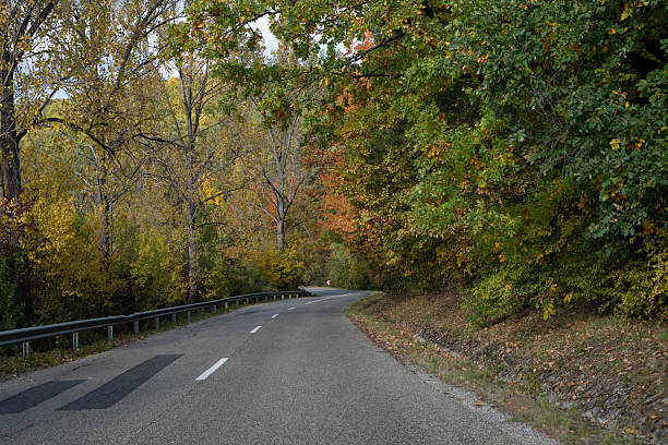 A curving asphalt road cuts through a dense forest with vibrant autumn foliage on both sides. The quiet, empty road and the golden, orange, and green leaves create a serene and picturesque seasonal landscape.