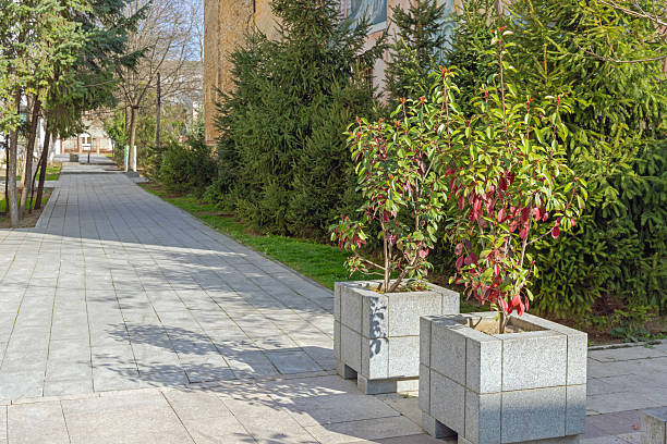 Two Large Concrete Planters at Street in Craiova Romania Sunny Spring Day