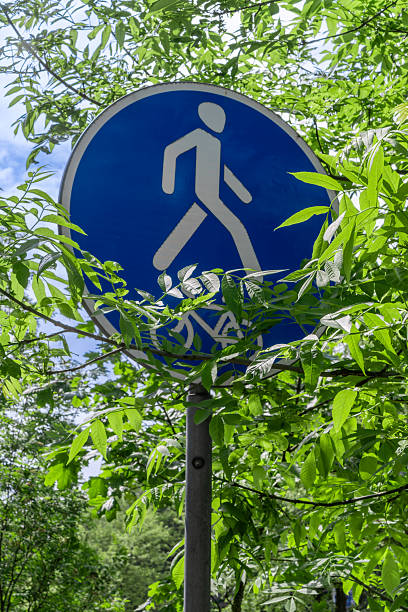 Blue pedestrian path sign partially covered by green leaves in park setting. Eco friendly urban mobility concept with pedestrian sign blending into nature ideal for outdoor lifestyle themes.
