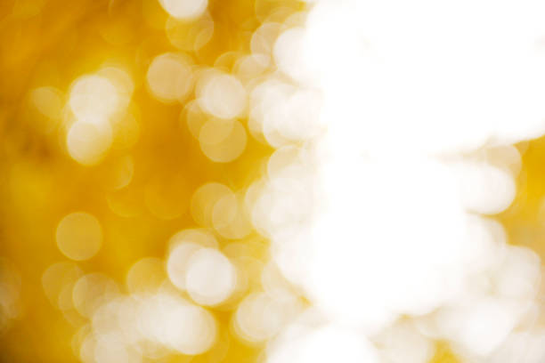 bokeh in sunny forest