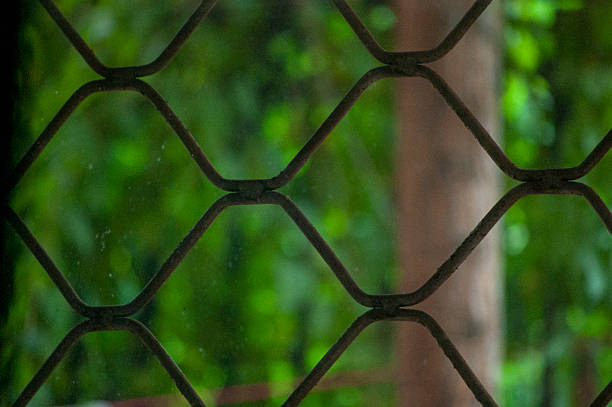 istock Metal mesh fence with green natural background visible through it 2244702601