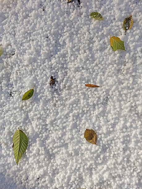 istock Autumn leaves and hail on the ground 2244702746