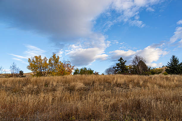 istock Scenic views from Okanagan Rail Trail 2244702850