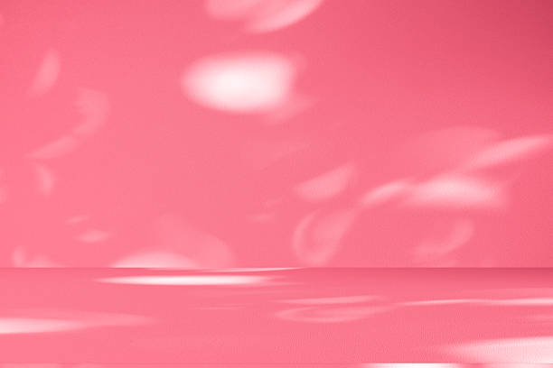 istock Wall interior background, studio, and backdrops show products. with shadow from window color white and pink light. background for text insertion and presentation of product 2244706085