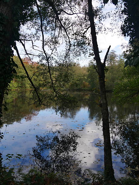 istock Dahlheim Mill Pond in Autumn 2244706407