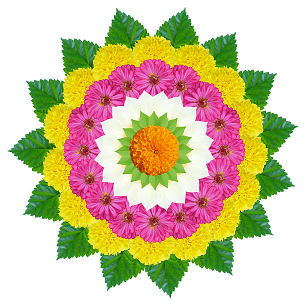 Indian rangoli design made with colorful flower for cultural celebration, indian festival isolated on white background