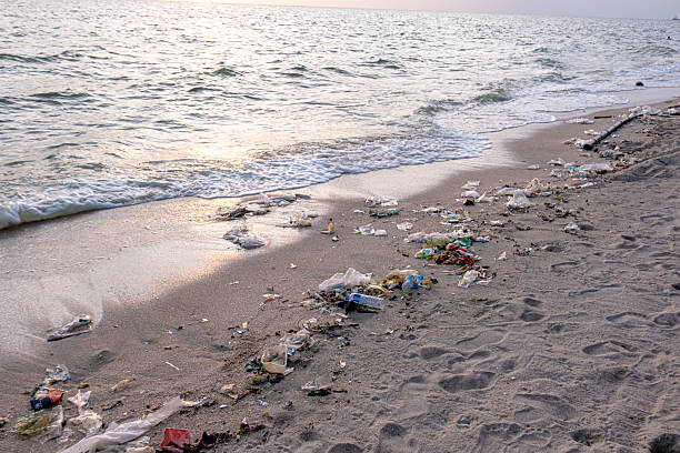 istock Dirty sea sandy shore ,Environmental pollution,Plastic water bottles pollution in ocean (Marine debris) 2244706527