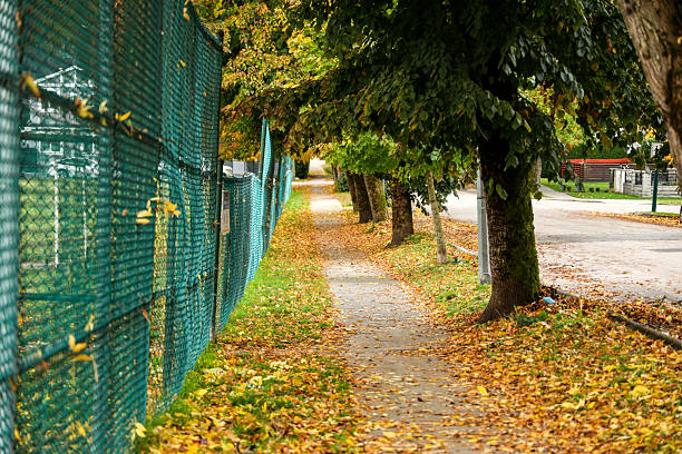 Autumn Path with Fallen Leaves Beside a Green Chain-link Fence
