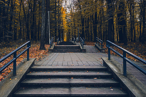 Stairs lead through a forest path, flanked by trees with vibrant autumn leaves. The peaceful setting invites visitors for a stroll in nature during the fall season.