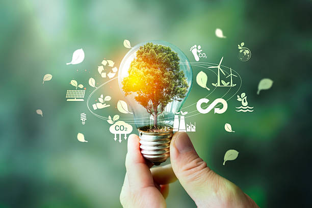 istock Sustainability green energy and renewable innovation concept with tree inside light bulb and eco icons 2244718889