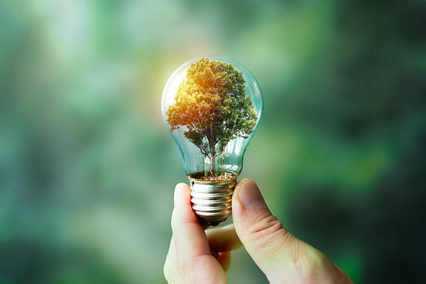 istock Sustainability and renewable energy concept with green tree inside light bulb for eco innovation idea 2244719248
