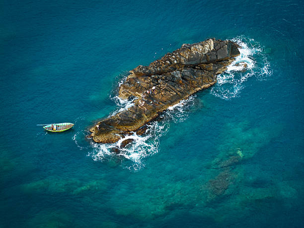 Bryde fish in Quy Nhon sea- Vietnam