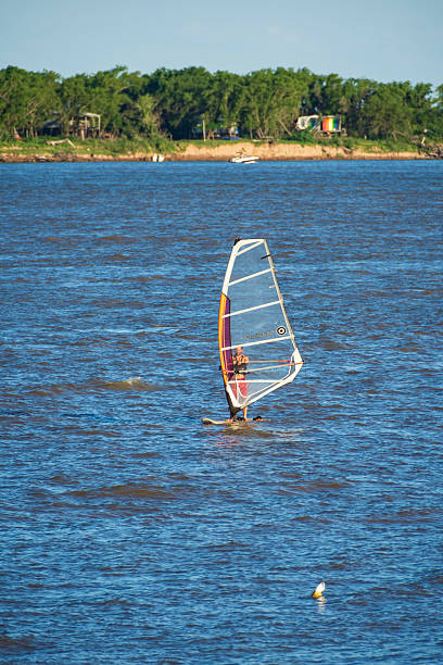 Windsurfing sails storage on a beach watersports facility. Surfer boards on shelf lie  under the roof for rental. Colorful sails background in sunlight
