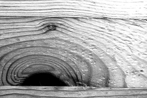 Grunge black and white wooden texture overlay on a white background
