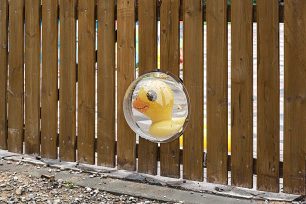 A sphere window for a dog in a fence, reflection of toy in it.