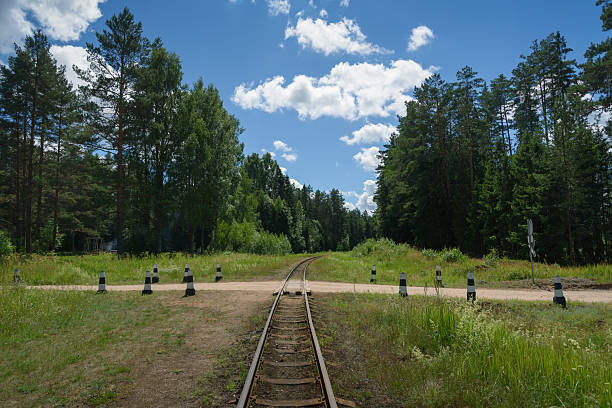 istock A narrow gauge railway. 2244734522