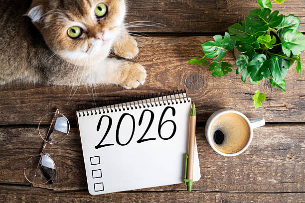 istock New year resolutions 2026 on desk. 2026 resolutions list with notebook, coffee cup, cute cat on table. Goals, resolutions, plan, cozy, hygge concept. New Year 2026 background 2244740177