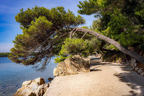 istock stone steps in a park by the sea 2244740990