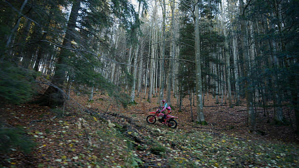 A female motocross rider skillfully navigating a forest trail, surrounded by tall trees and autumn foliage. The scene captures the thrill and challenge of off-road biking in a natural setting.