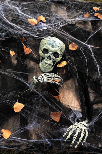 istock Creepy Halloween skeleton with skull and cobwebs on dark background 2244745308