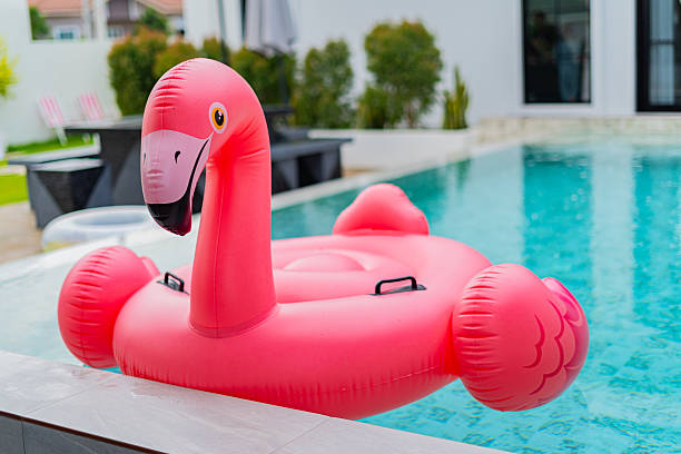 istock A beautiful pink swan or goose shaped swim ring in a clear pool. 2244745376