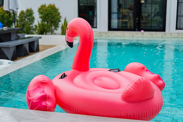 istock A beautiful pink swan or goose shaped swim ring in a clear pool. 2244745381