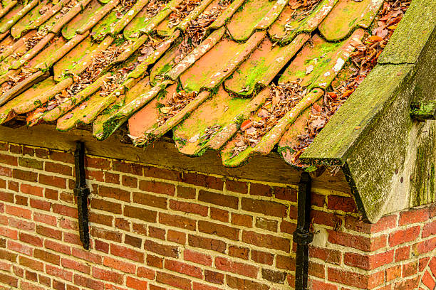Detail on the Bels Watermill and Mosbeek stream during a beautiful fall day in the Twente region in Overijssel, The Netherlands.