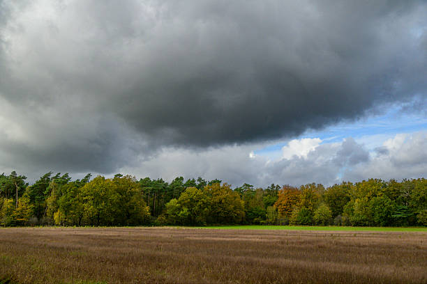 Landscape at the Springedal forest near Ootmarsum in Twente during a beautiful fall day.