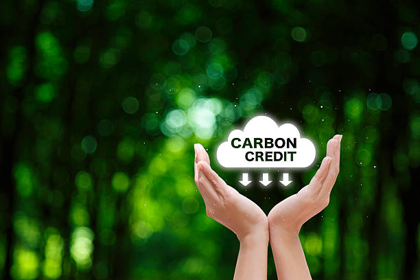 istock Hands cupping a CARBON CREDIT cloud with downward arrows, symbolizing efforts to reduce carbon emissions and promote environmental sustainability. 2244751836