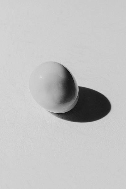 istock Egg isolated close up black and white as art 2244753380