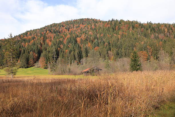 Oktober 16, 2024, Mittenwald: Impressions in autumn from the municipality of Mittenwald in the Karwendel Mountains in the Bavarian Alps