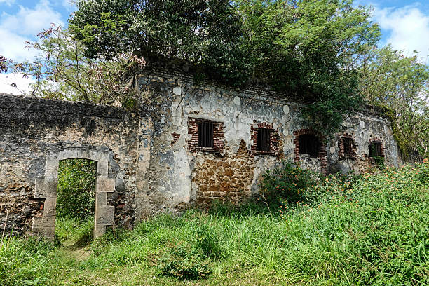 istock Prison ruins on the Isle of Pines 2244754143