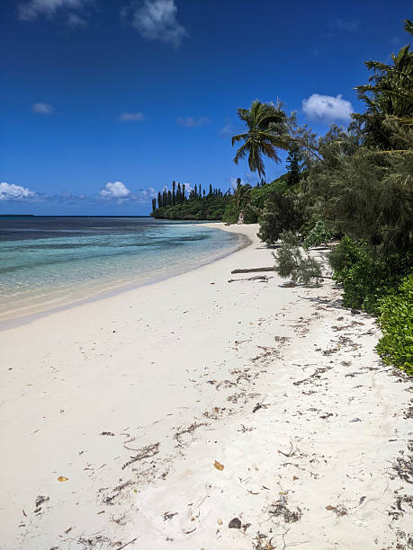 istock Tropical beach on the Isle Of Pines 2244754168