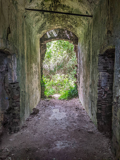 istock Prison ruins on the Isle of Pines 2244754171